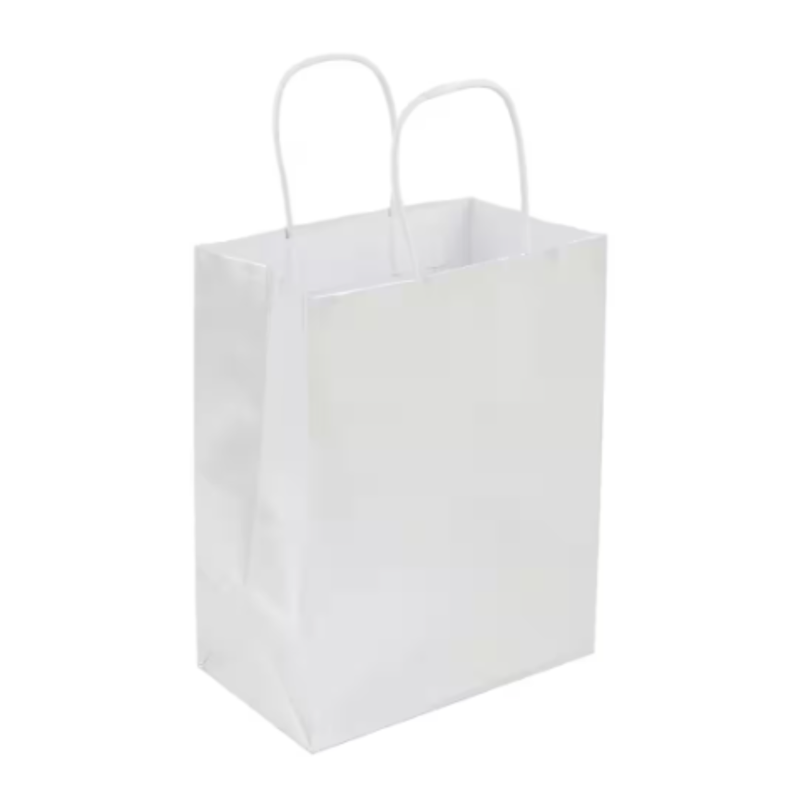 Gift Bags Medium