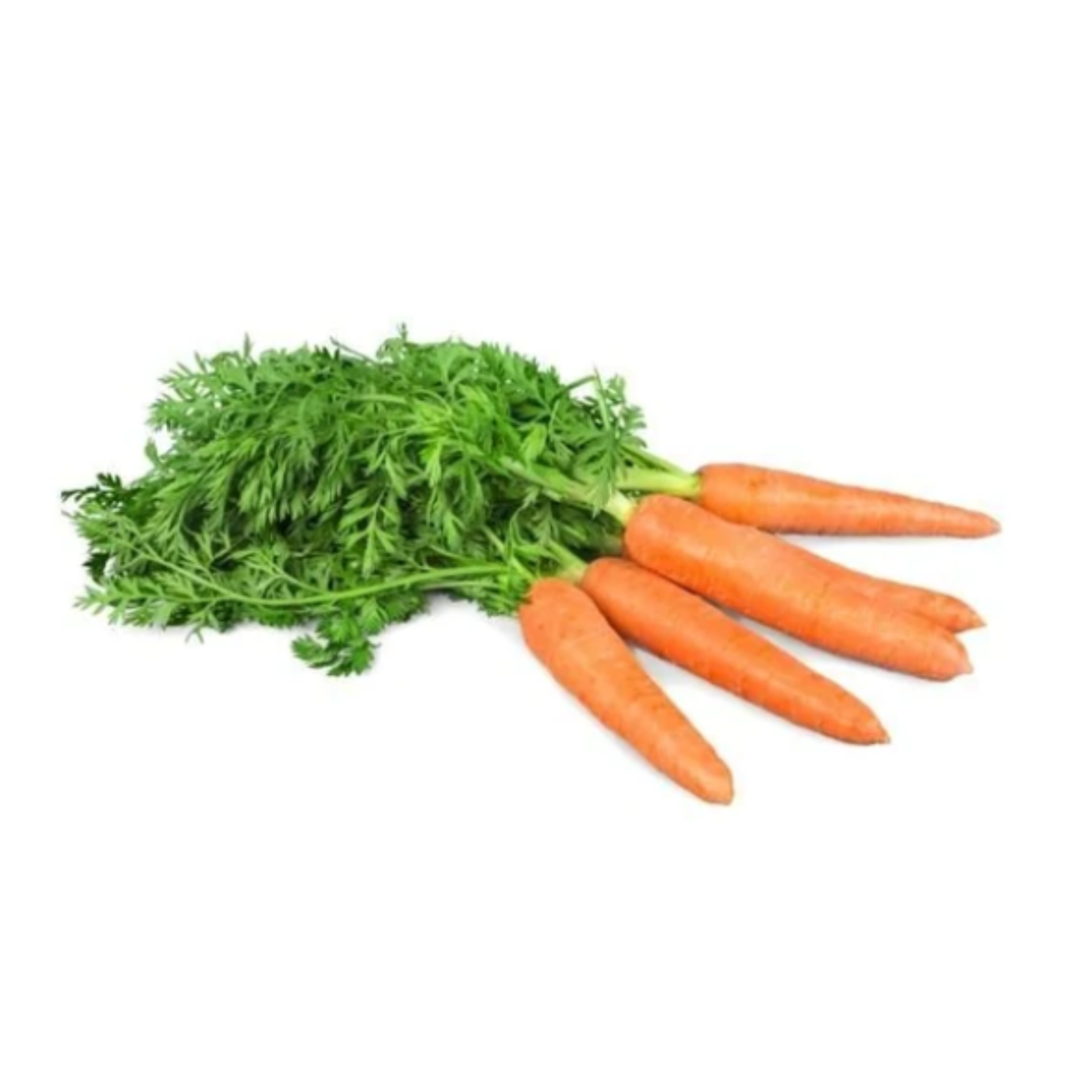 Fresh Carrots 5lb