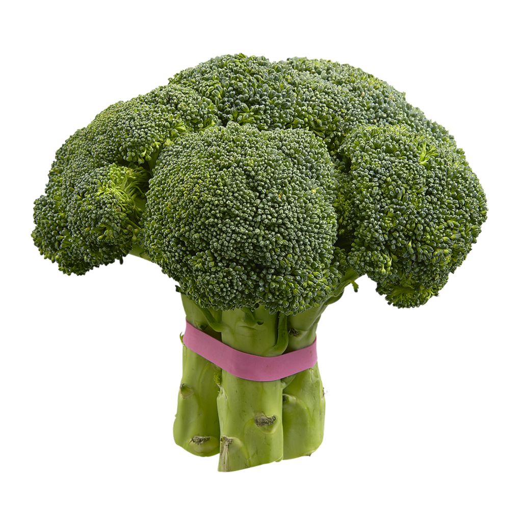 Fresh Broccoli Bunch