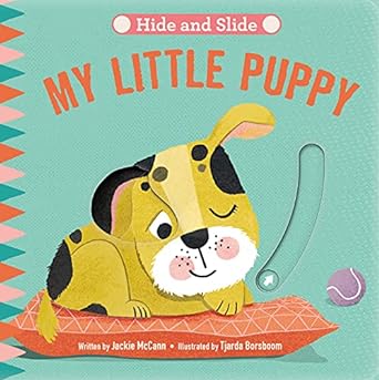 Hide and Slide Board Book