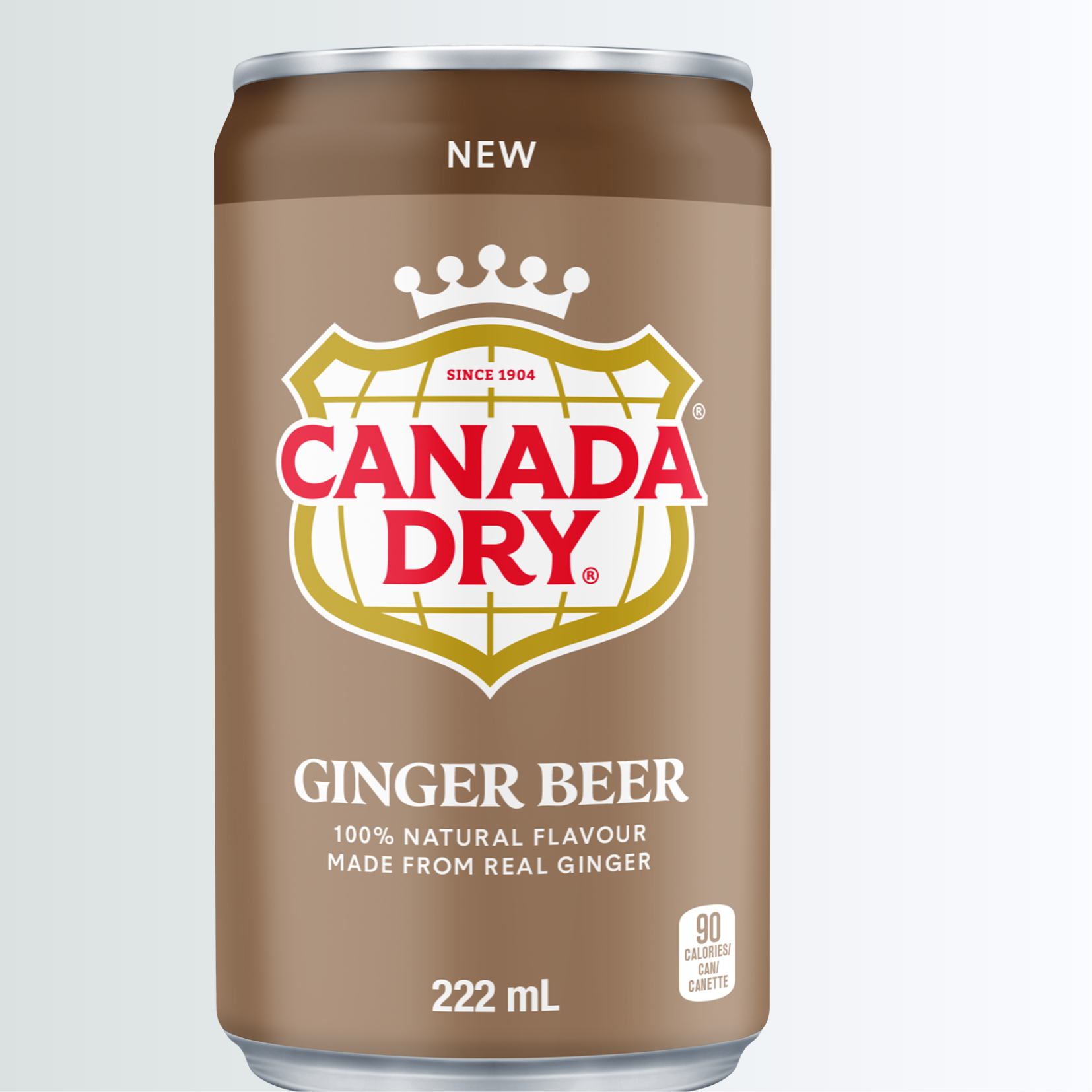 Canada Dry  Ginger Beer 222ml x 6