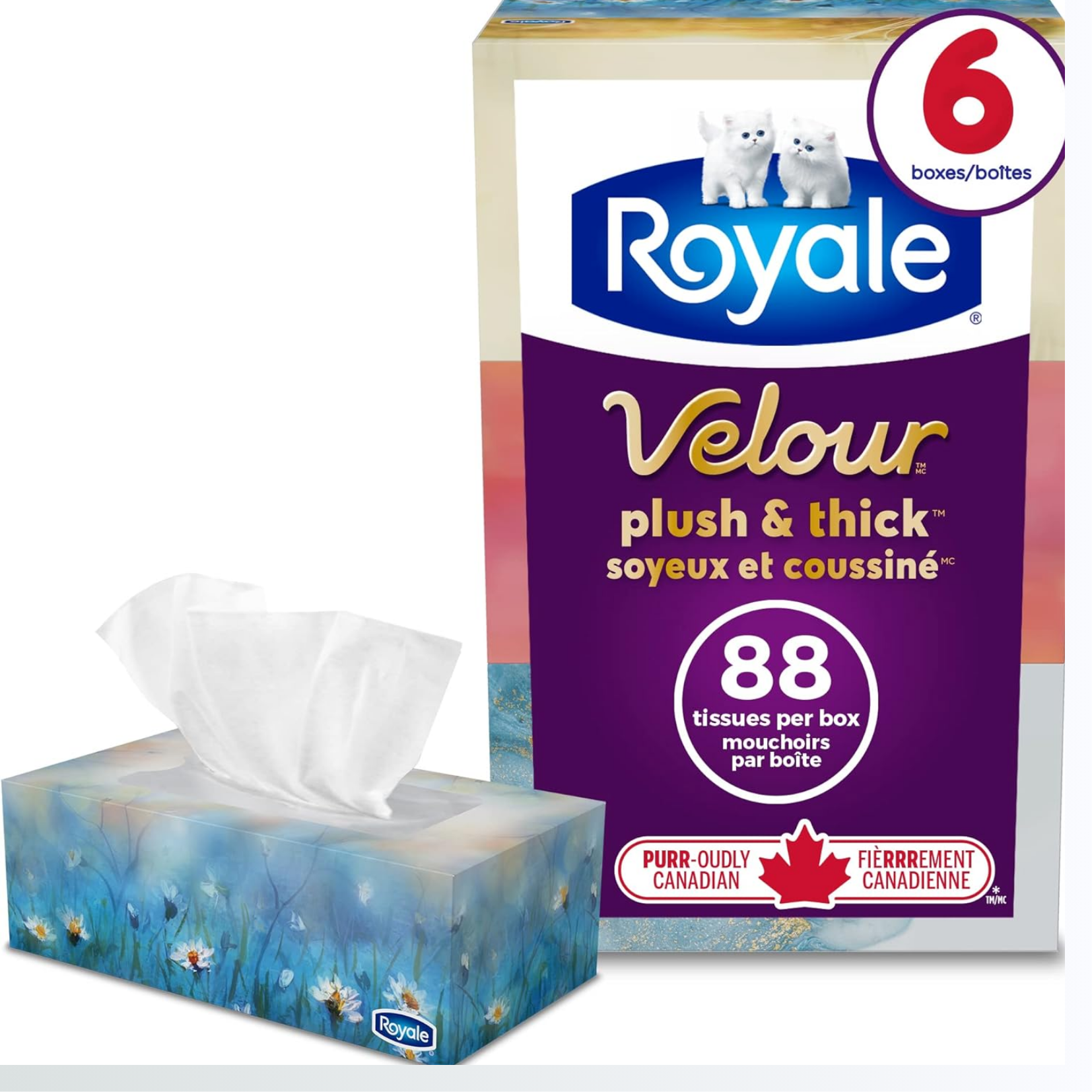 Royale Velour Facial Tissue 82ct x 6