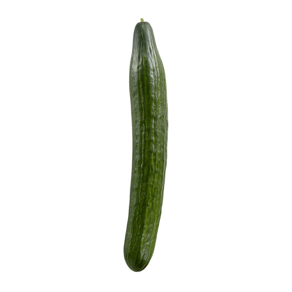 Fresh English Cucumber