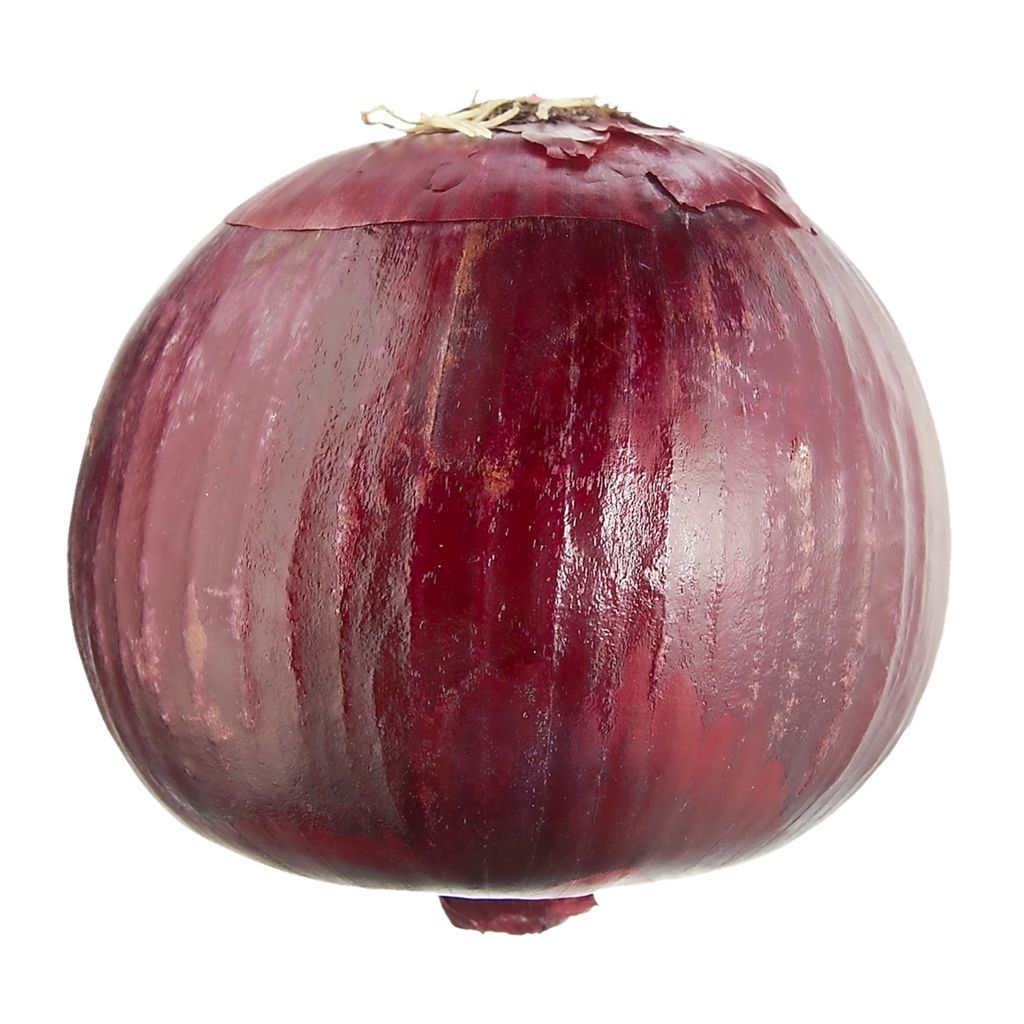 Fresh Red Onion