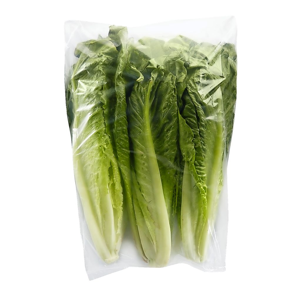 Fresh Romaine Lettuce 3ct