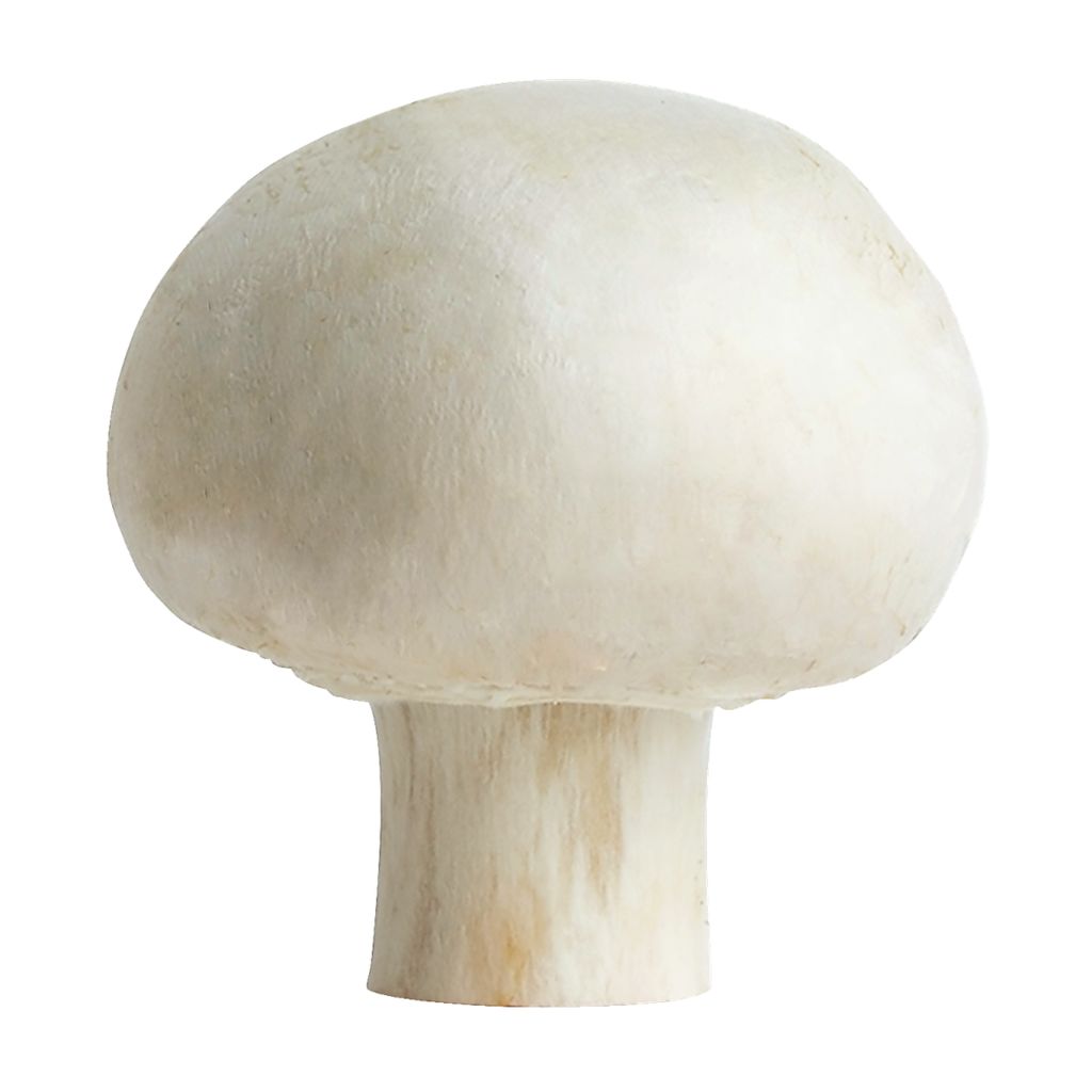 Fresh White Mushrooms 227g